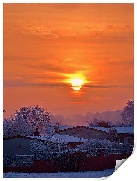 Winter Sunrise Print by Laura McGlinn Photog
