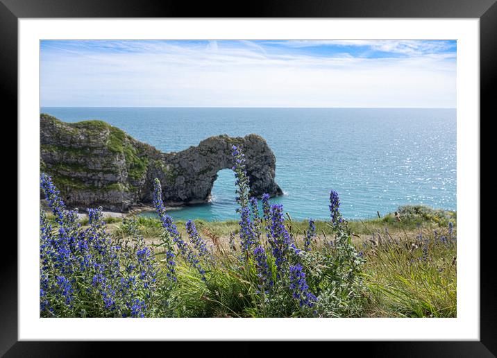 Durdle Door, with blue flowers, Framed Mounted Print by kathy white