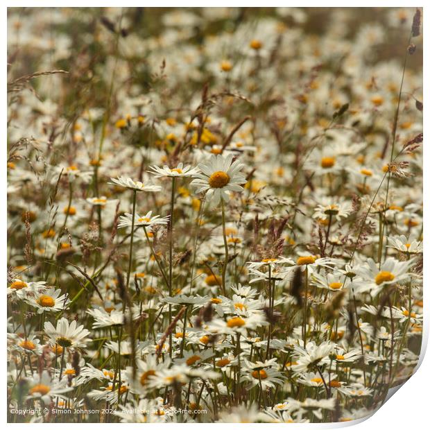 Daisy Flowers Cotswolds: Vibrant, Wild, Cheltenham Print by Simon Johnson