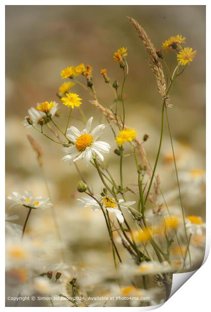 Daisy Flowers Cotswolds Landscape Print by Simon Johnson