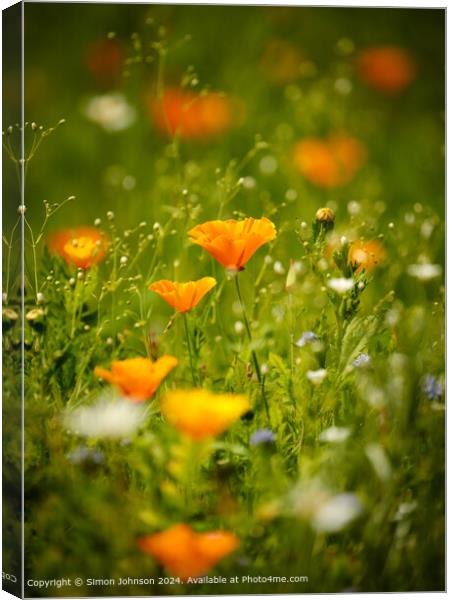 Vibrant Meadow Flowers in Cotswolds Canvas Print by Simon Johnson