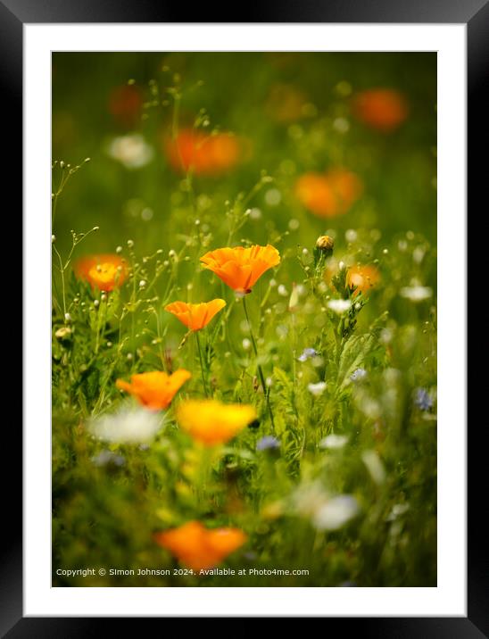Vibrant Meadow Flowers in Cotswolds Framed Mounted Print by Simon Johnson
