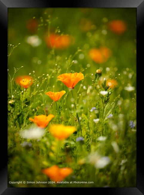 Vibrant Meadow Flowers in Cotswolds Framed Print by Simon Johnson