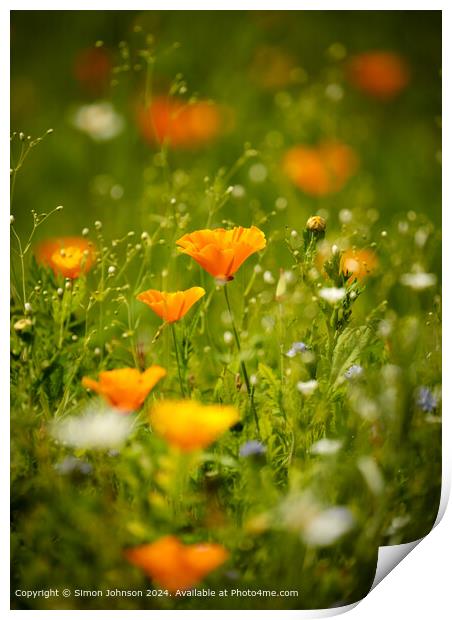 Vibrant Meadow Flowers in Cotswolds Print by Simon Johnson