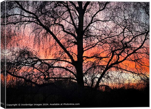 Sunset  Silhouette Canvas Print by Ironbridge Images