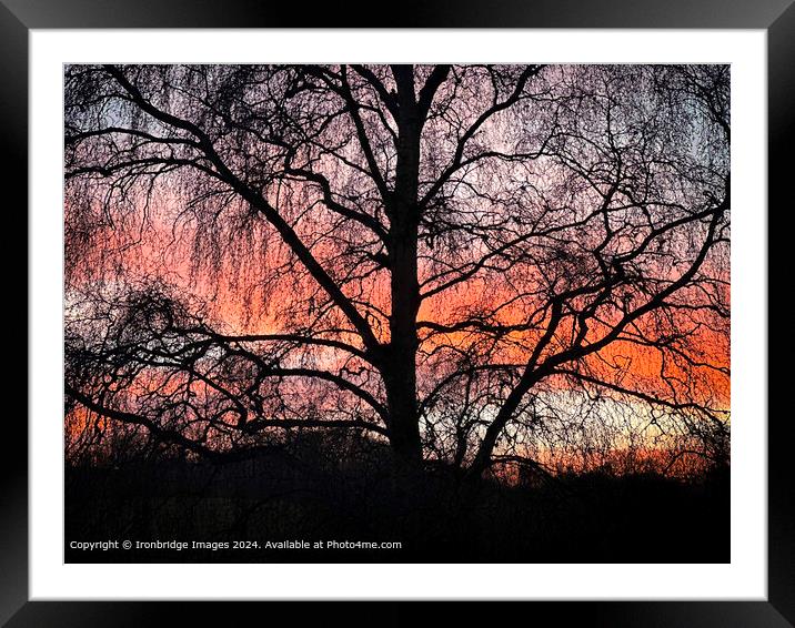 Sunset  Silhouette Framed Mounted Print by Ironbridge Images