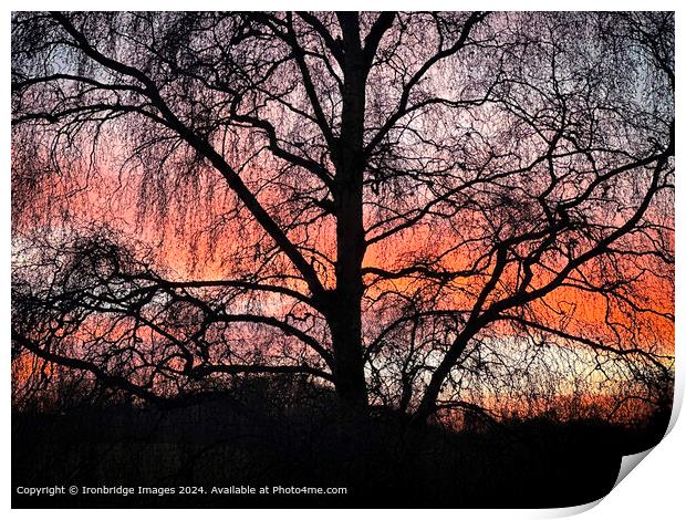 Sunset  Silhouette Print by Ironbridge Images