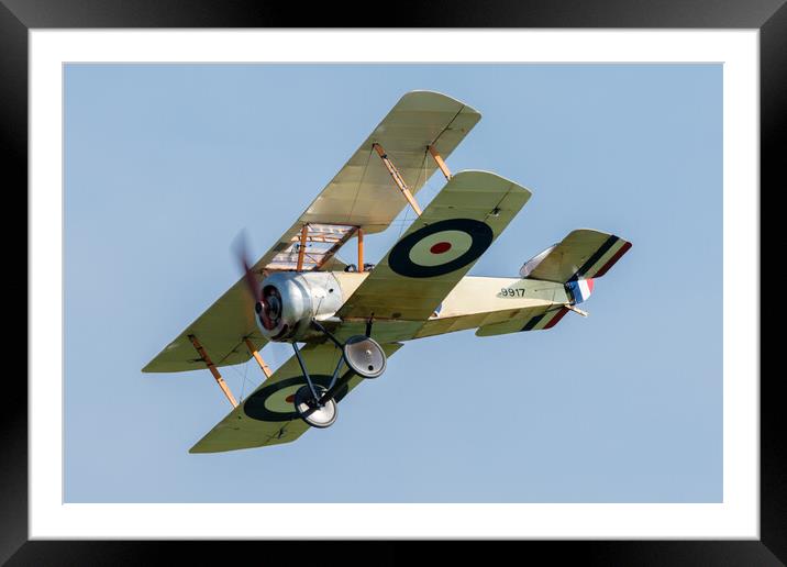 Sopwith Pup Bi-Plane Aviation Framed Mounted Print by J Biggadike