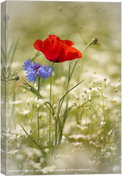 Poppy  and  Cornflower Landscape Canvas Print by Simon Johnson