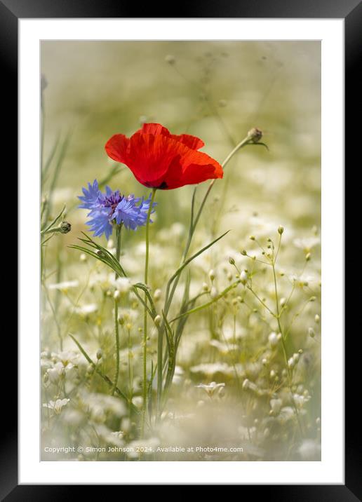 Poppy  and  Cornflower Landscape Framed Mounted Print by Simon Johnson