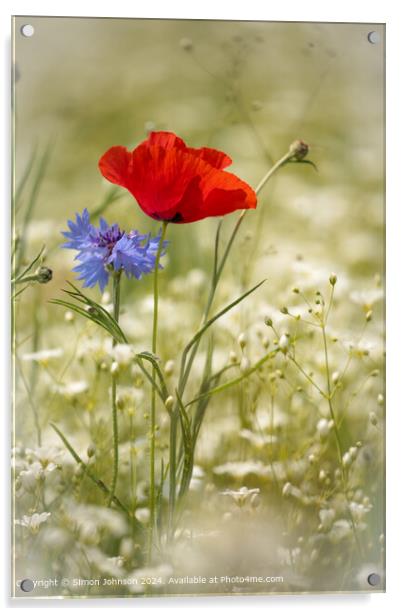 Poppy  and  Cornflower Landscape Acrylic by Simon Johnson