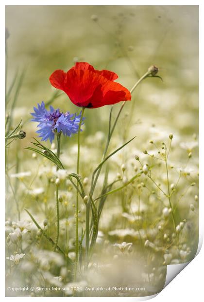 Poppy  and  Cornflower Landscape Print by Simon Johnson