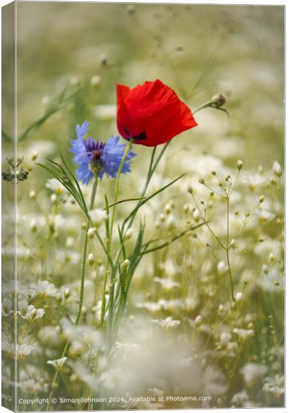 Wind-Blown Poppy and Cornflower in Cotswolds Canvas Print by Simon Johnson