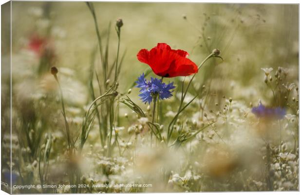 Wind-blown Poppy and Cornflower in the Cotswolds Canvas Print by Simon Johnson