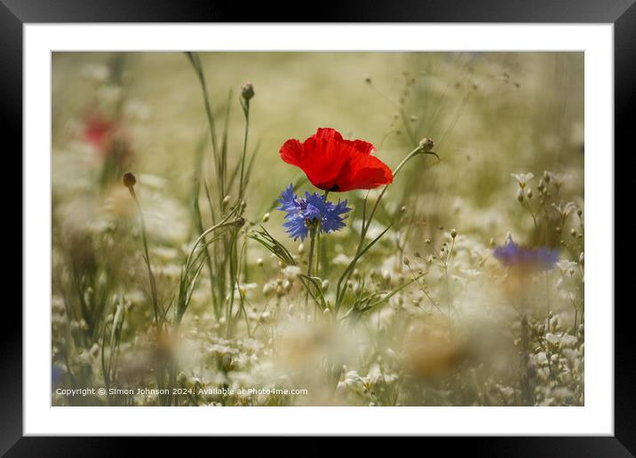 Wind-blown Poppy and Cornflower in the Cotswolds Framed Mounted Print by Simon Johnson