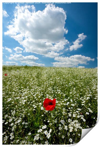 Poppy Wildflower Landscape in Cotswolds Print by Simon Johnson