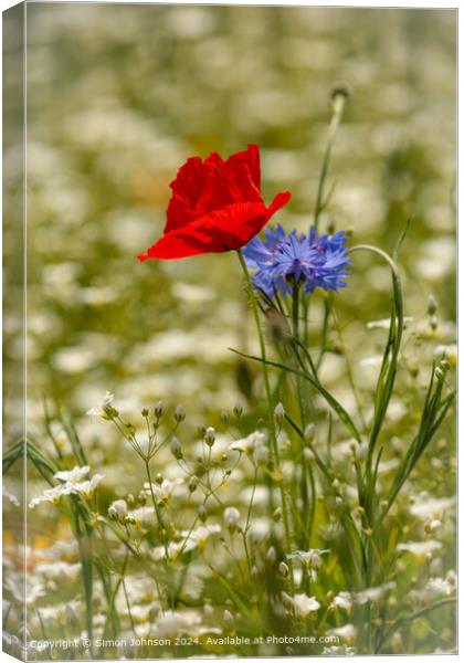 Poppy and Cornflower Meadow, Cotswolds Canvas Print by Simon Johnson