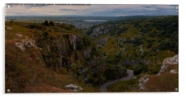 Cheddar Gorge Landscape Panorama from High Rock Acrylic by Duncan Savidge