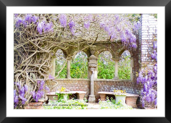 Serene Wisteria Garden Arch Framed Mounted Print by Debra Marie Muston