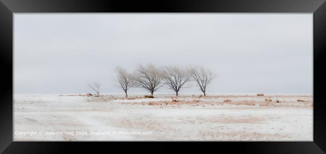 A Winter Scene Framed Print by Julie Hartwig
