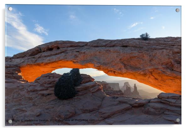 Landscape View with Sunrise Glow at Mesa Arch, Canyonlands National Park Acrylic by Madeleine Deaton