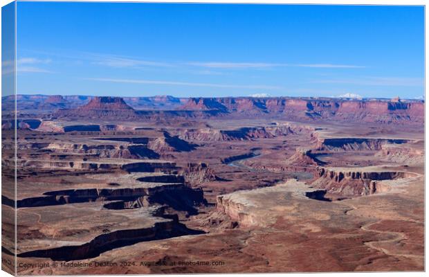 Breathtaking View from the Green River Overlook in Canyonlands National Park Canvas Print by Madeleine Deaton