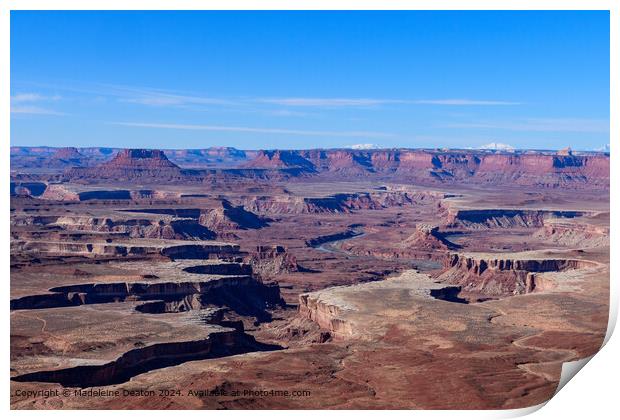 Breathtaking View from the Green River Overlook in Canyonlands National Park Print by Madeleine Deaton