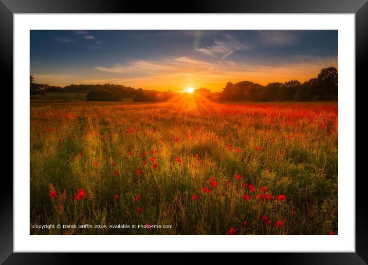 Lullingstone Sunset Poppies Framed Mounted Print by Derek Griffin