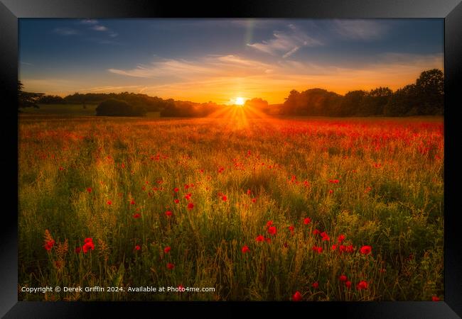 Lullingstone Sunset Poppies Framed Print by Derek Griffin