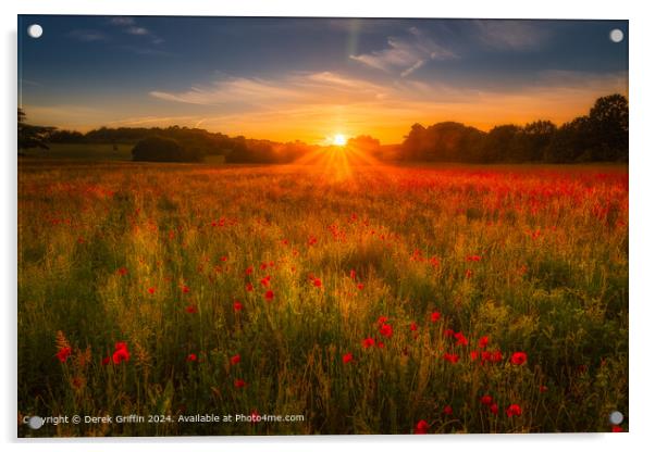 Lullingstone Sunset Poppies Acrylic by Derek Griffin