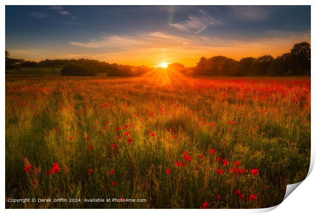 Lullingstone Sunset Poppies Print by Derek Griffin