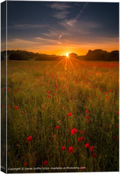 Lullingstone Park Poppy Sunset Canvas Print by Derek Griffin