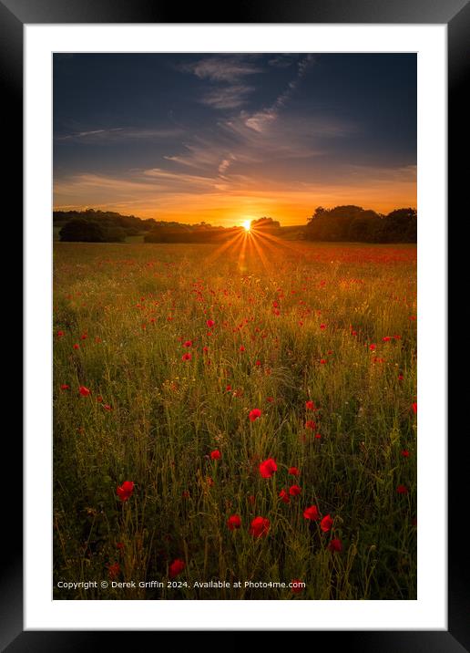 Lullingstone Park Poppy Sunset Framed Mounted Print by Derek Griffin