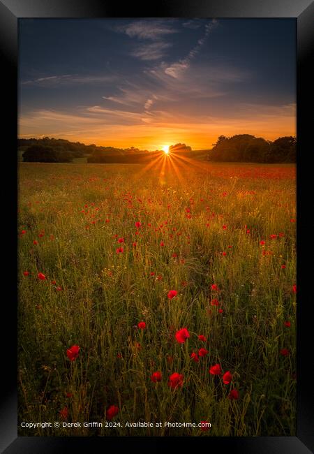 Lullingstone Park Poppy Sunset Framed Print by Derek Griffin