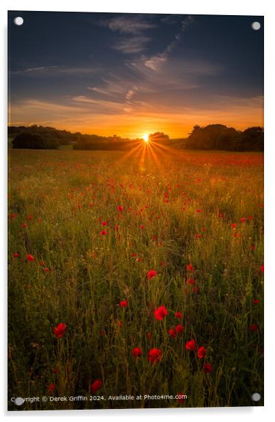 Lullingstone Park Poppy Sunset Acrylic by Derek Griffin