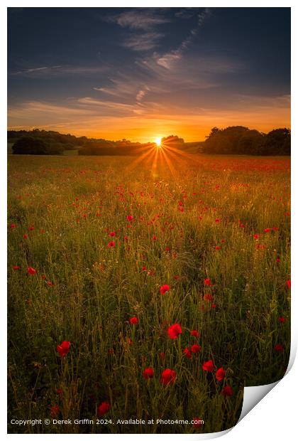 Lullingstone Park Poppy Sunset Print by Derek Griffin