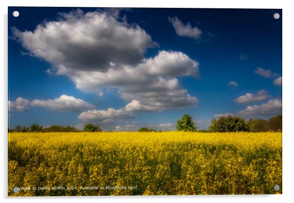 Rapeseed Field Landscape, Tonbridge Acrylic by Derek Griffin