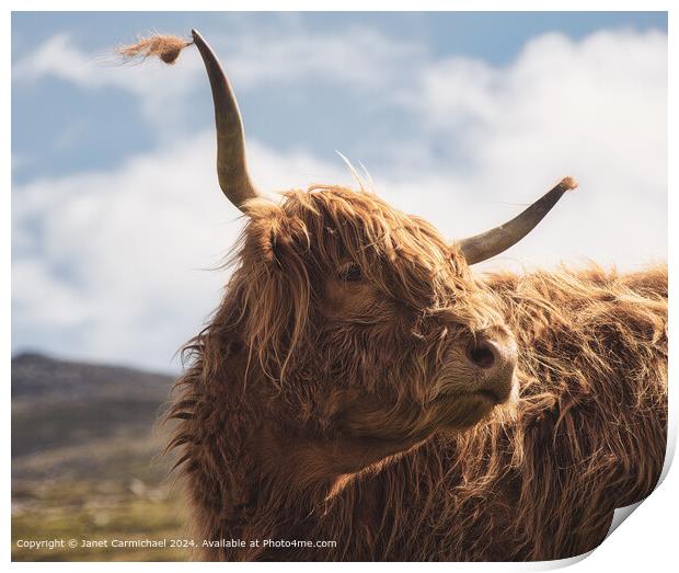 Highland Cow Portrait - The Gentle Giant Print by Janet Carmichael
