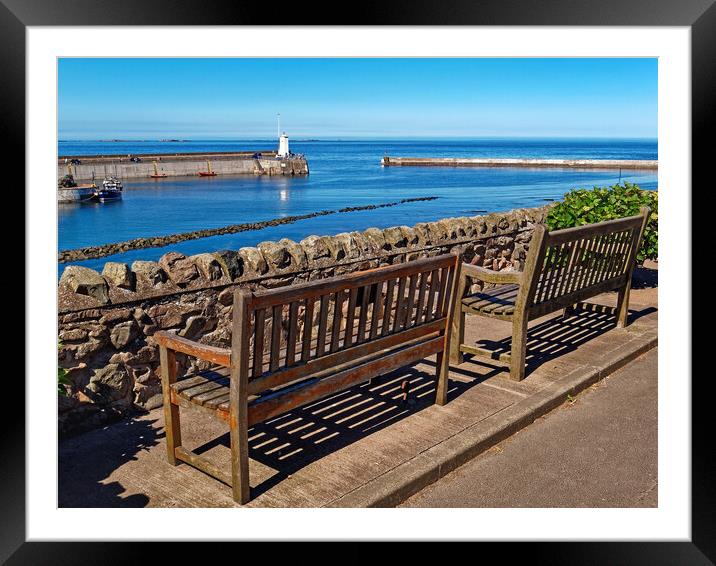Seahouses Harbour Framed Mounted Print by Darren Galpin