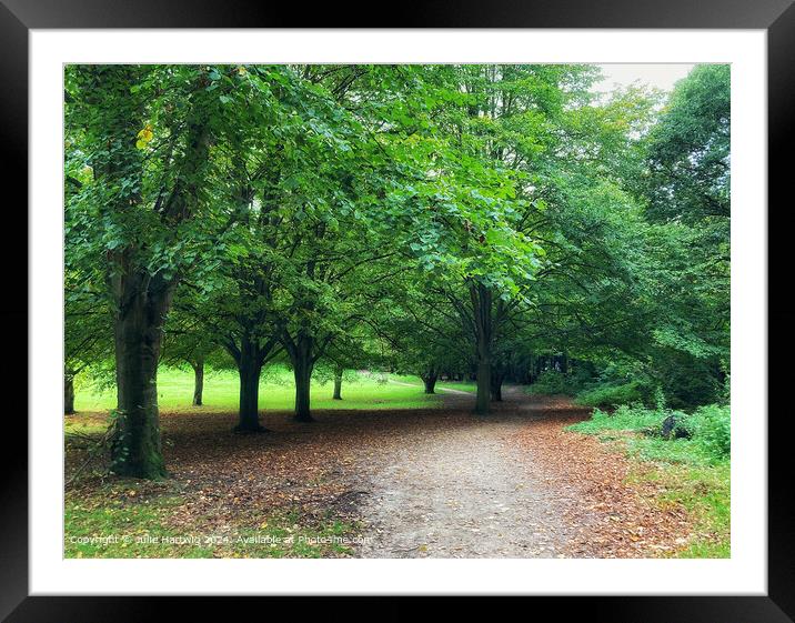 Yateley Common Framed Mounted Print by Julie Hartwig