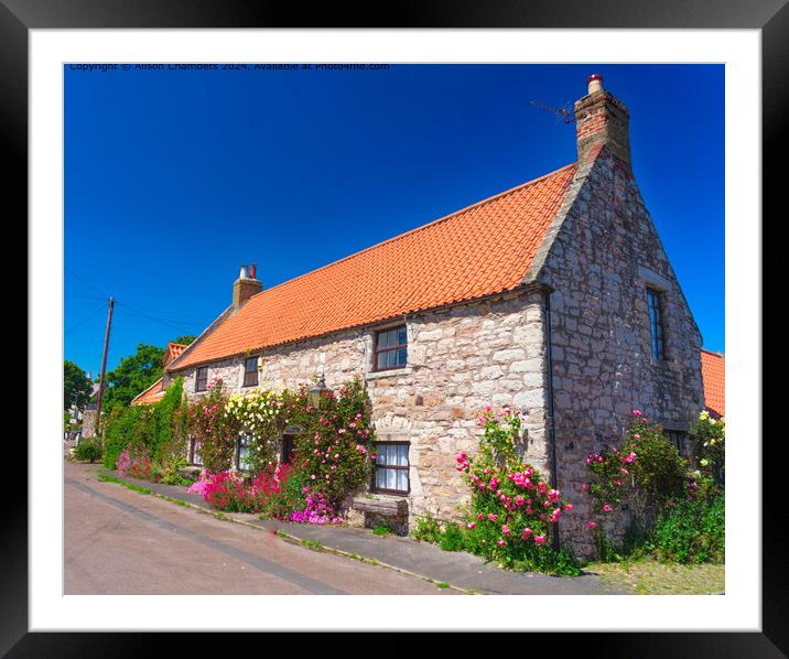 Rose Covered Cottage  Framed Mounted Print by Alison Chambers