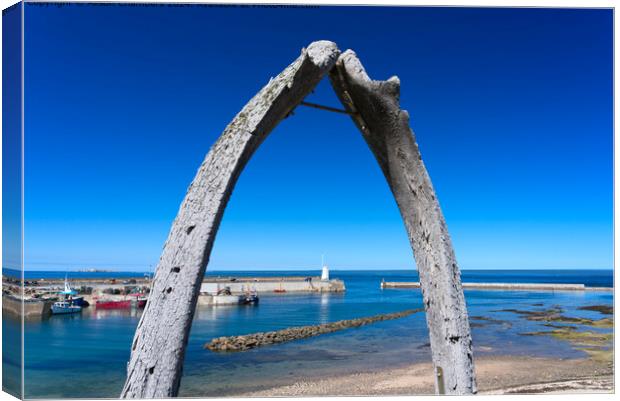 Seahouses Whale Bones Canvas Print by Alison Chambers