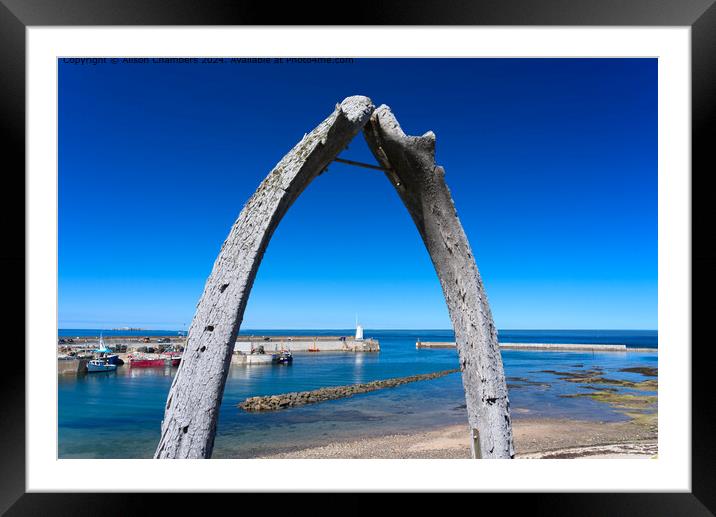 Seahouses Whale Bones Framed Mounted Print by Alison Chambers