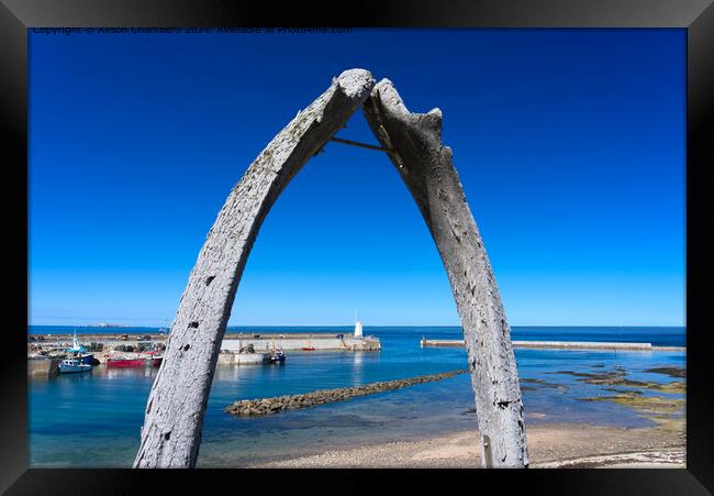 Seahouses Whale Bones Framed Print by Alison Chambers