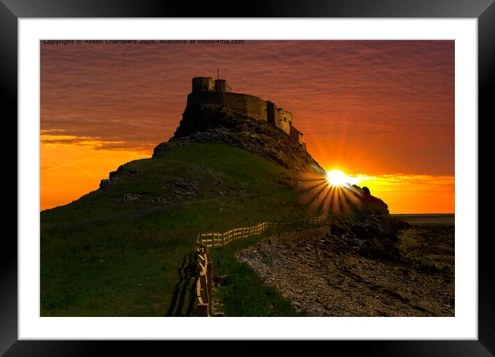 Lindisfarne Castle Sunrise Framed Mounted Print by Alison Chambers