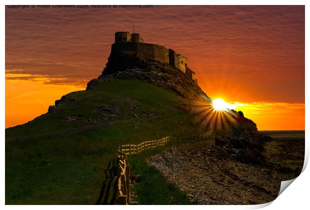 Lindisfarne Castle Sunrise Print by Alison Chambers