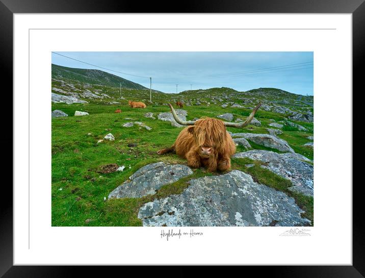 Highland Cow, Lewis, Agriculture Framed Mounted Print by JC studios LRPS ARPS