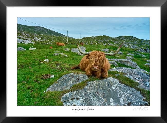 Highland Cow, Lewis, Agriculture Framed Print by JC studios LRPS ARPS