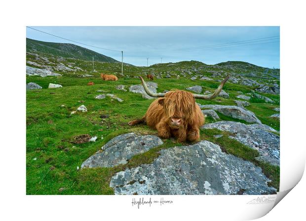 Highland Cow, Lewis, Agriculture Print by JC studios LRPS ARPS