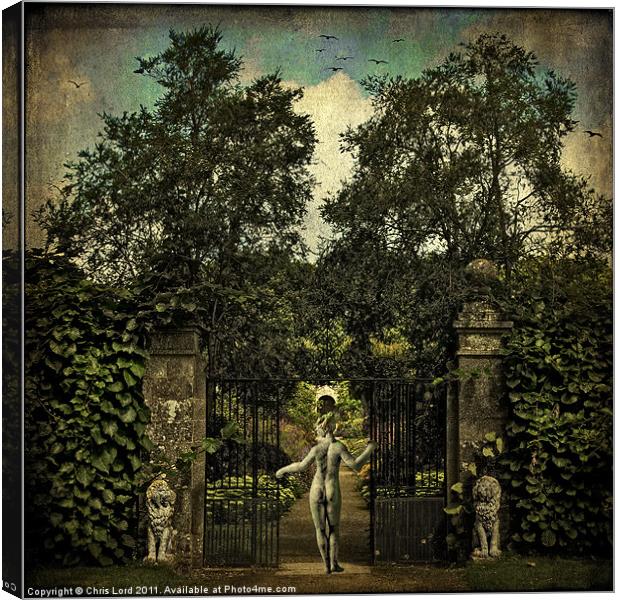 Hope Arrives At The Garden Gate Canvas Print by Chris Lord